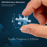 Storytime 1000 Piece Jigsaw Puzzle