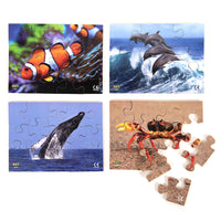 Sea Creatures - JJ594