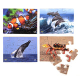 Sea Creatures - JJ594