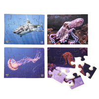 Sea Creatures - JJ594