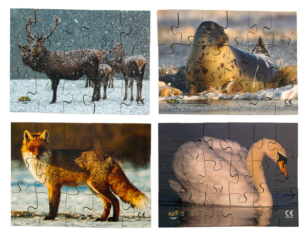 Wildlife - JJ590