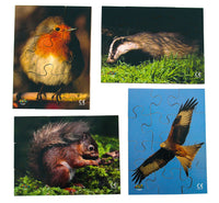 Wildlife - JJ590