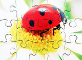 Mini Beasts - JJ593