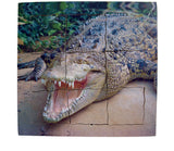 Layered Life Cycle Crocodile - JJ641