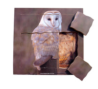 Layered Life Cycle Owl - JJ647