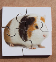 Real Life Pets - JJ661
