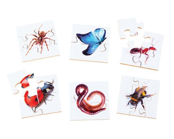 Real Life Mini Beasts - JJ665