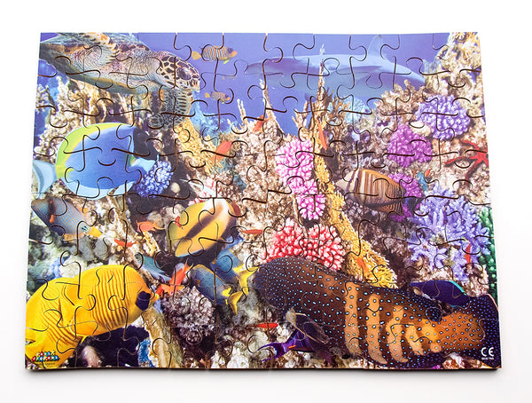 Coral Reef 24 or 80 pieces - JJ670