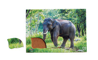 Endangered Animals - Asian Elephant - JJ740