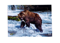 Endangered Animals - Grizzly Bear - JJ744
