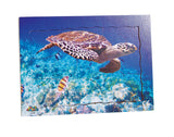 Endangered Animals - Hawksbill Turtle - JJ745