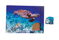 Endangered Animals - Hawksbill Turtle - JJ745