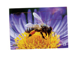 Endangered Animals - Honeybee - JJ746
