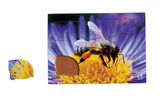 Endangered Animals - Honeybee - JJ746