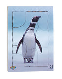 Endangered Animals - Megallanic Penguin - JJ747