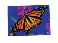 Endangered Animals - Monarch Butterfly - JJ748