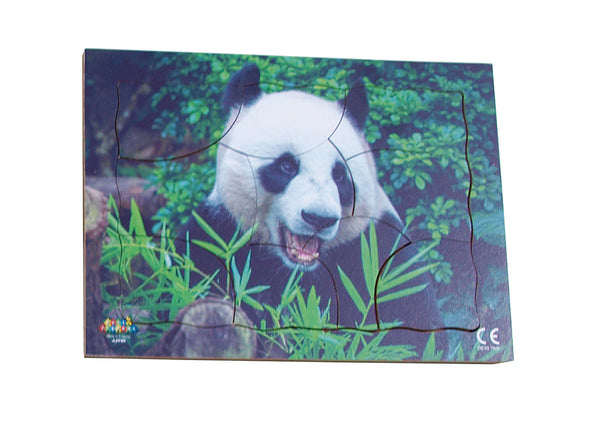 Endangered Animals - Panda - JJ751