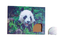 Endangered Animals - Panda - JJ751