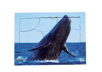 Endangered Animals - Whale - JJ758