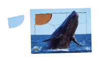 Endangered Animals - Whale - JJ758