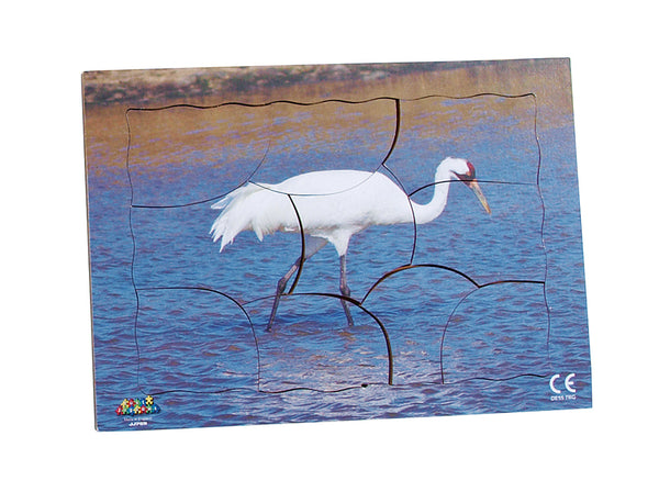 Endangered Animals - Whooping Crane  - JJ759