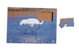 Endangered Animals - Whooping Crane  - JJ759