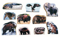 Animals & Continents N America - JJ771