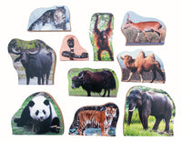 Animals & Continents Asia - JJ773