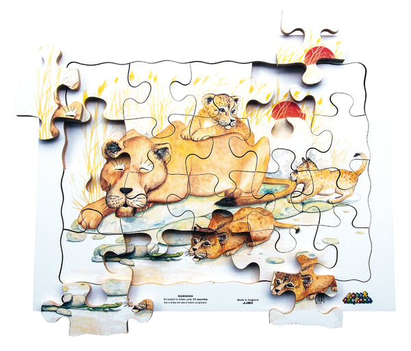 20pc Tray - Lions - JJ811