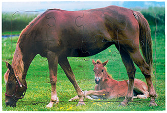 Horse - Mother and Young