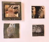 Layered Life Cycle Owl - JJ647