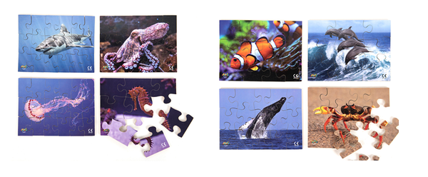 Sea Creatures - JJ594